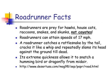 Roadrunner Facts Roadrunners are prey for hawks, house cats, raccoons, snakes, and skunks, not coyotes! Roadrunners can attain speeds of 17 mph. A roadrunner.