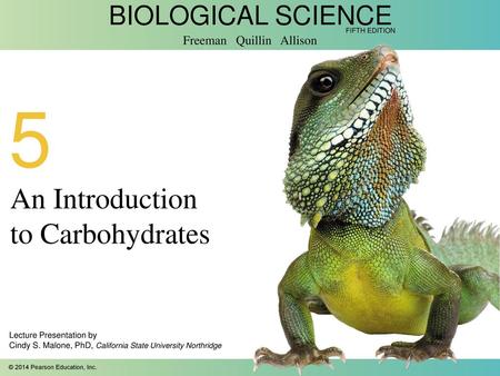 An Introduction to Carbohydrates