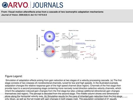 Journal of Vision. 2009;9(9):9. doi: /9.9.9 Figure Legend: