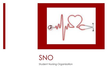 Student Nursing Organization