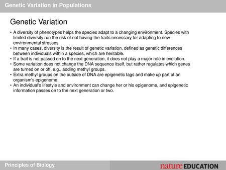 Genetic Variation Genetic Variation in Populations