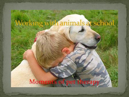 Working with animals at school