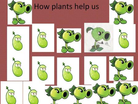 How plants help us.