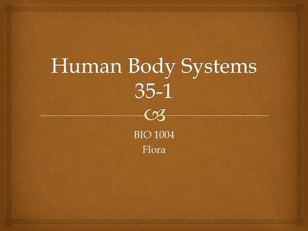 Human Body Systems 35-1 BIO 1004 Flora.