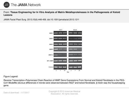 Copyright © 2013 American Medical Association. All rights reserved.