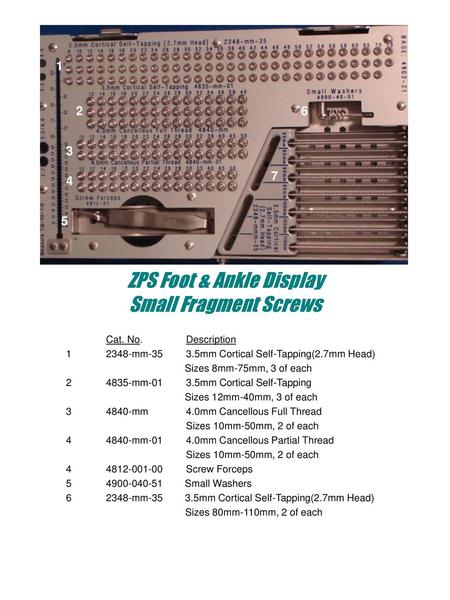 ZPS Foot & Ankle Display