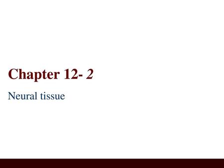 Chapter 12- 2 Neural tissue.