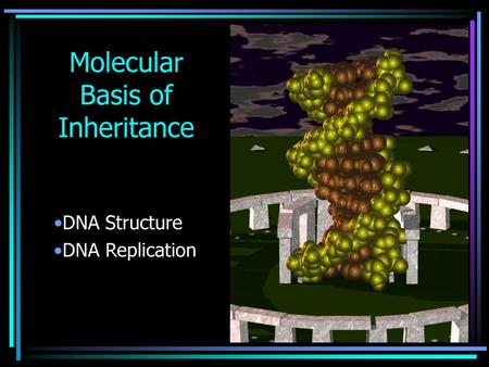 Molecular Basis of Inheritance