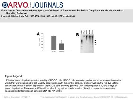 From: Serum Deprivation Induces Apoptotic Cell Death of Transformed Rat Retinal Ganglion Cells via Mitochondrial Signaling Pathways Invest. Ophthalmol.