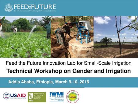 Technical Workshop on Gender and Irrigation