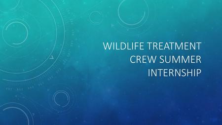 Wildlife treatment crew summer internship