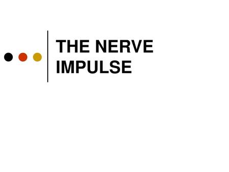 THE NERVE IMPULSE.