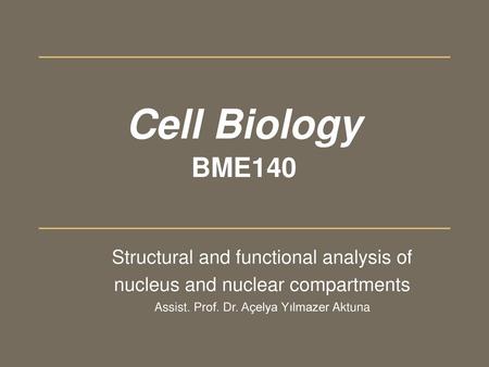 Cell Biology BME140 Structural and functional analysis of nucleus and nuclear compartments Assist. Prof. Dr. Açelya Yılmazer Aktuna.