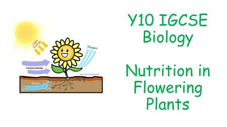 Nutrition in Flowering Plants