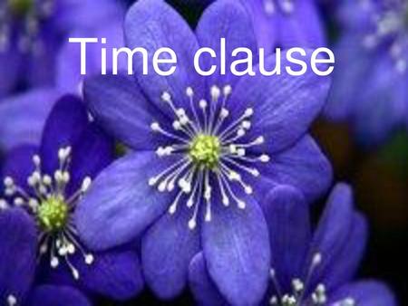 Time clause.