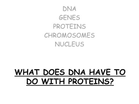 What does DNA have to do with PROTEINS?