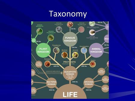 Taxonomy.