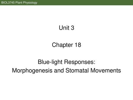 Blue-light Responses: Morphogenesis and Stomatal Movements