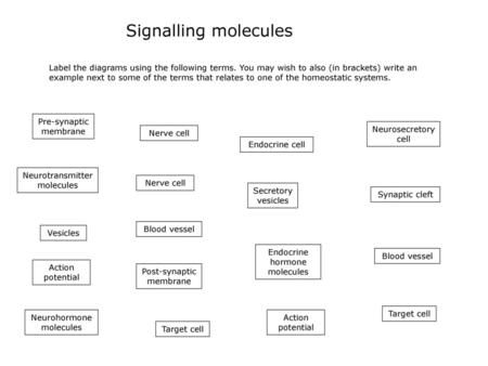 Signalling molecules Label the diagrams using the following terms. You may wish to also (in brackets) write an example next to some of the terms that relates.