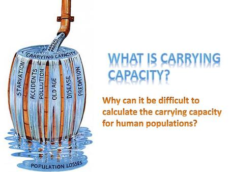 What is carrying capacity?