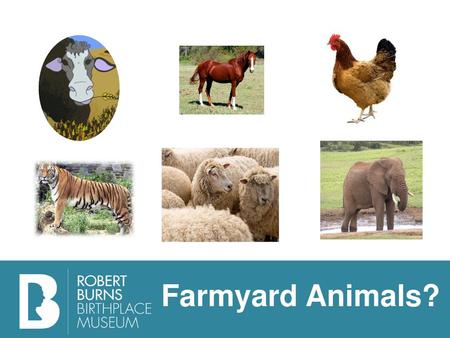 Farmyard Animals?.