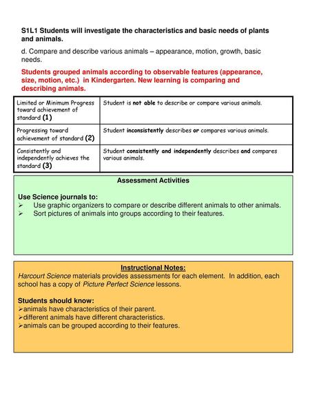 Assessment Activities