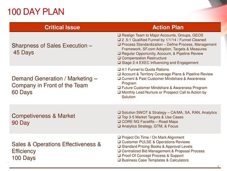 100 Day Plan Critical Issue Action Plan Sharpness of Sales Execution –