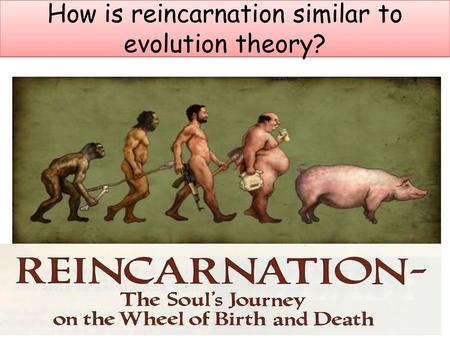 How is reincarnation similar to evolution theory?