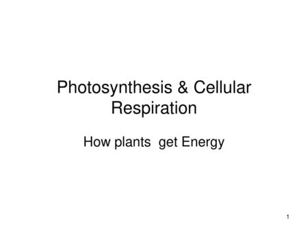 Photosynthesis & Cellular Respiration