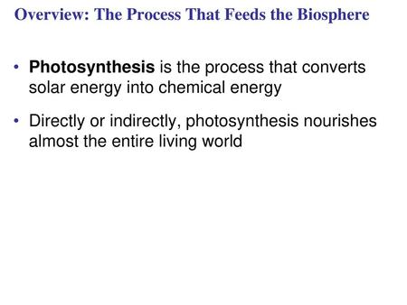 Overview: The Process That Feeds the Biosphere