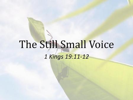 The Still Small Voice 1 Kings 19:11-12.