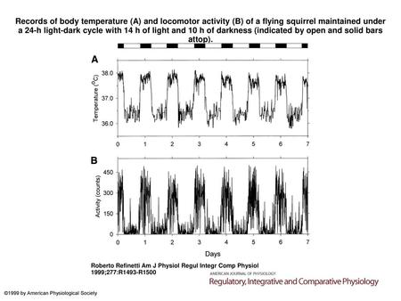 Records of body temperature (A) and locomotor activity (B) of a flying squirrel maintained under a 24-h light-dark cycle with 14 h of light and 10 h of.