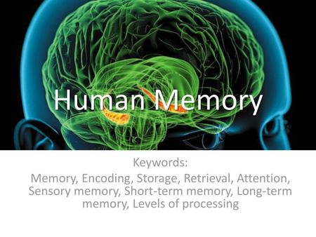 Human Memory Keywords: