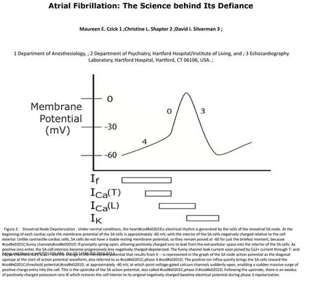 Atrial Fibrillation: The Science behind Its Defiance