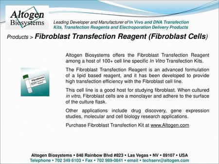 Products > Fibroblast Transfection Reagent (Fibroblast Cells)