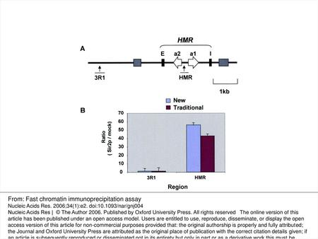 From: Fast chromatin immunoprecipitation assay