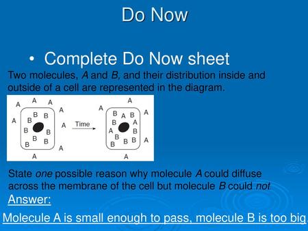 Do Now Complete Do Now sheet Answer: