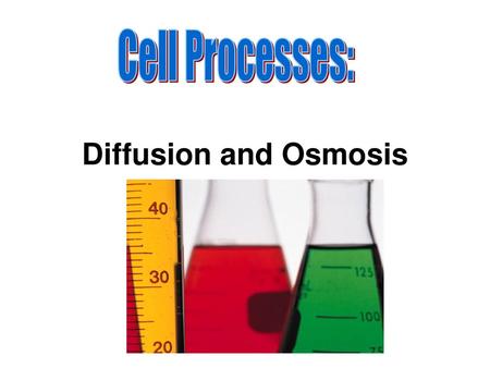 Cell Processes: Diffusion and Osmosis.