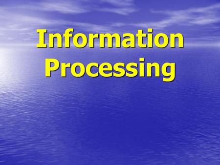 Information Processing