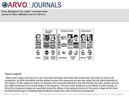 Figure Legend: From: Biological “bar codes” in human faces