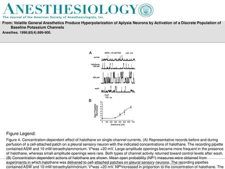 From: Volatile General Anesthetics Produce Hyperpolarization of Aplysia Neurons by Activation of a Discrete Population of Baseline Potassium Channels Anesthes.