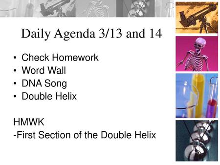 Daily Agenda 3/13 and 14 Check Homework Word Wall DNA Song