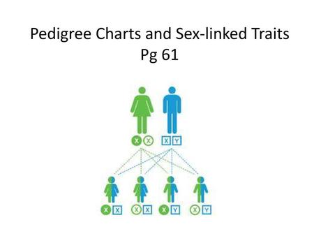 Pedigree Charts and Sex-linked Traits Pg 61