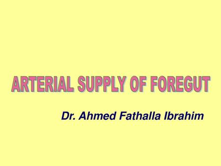 Dr. Ahmed Fathalla Ibrahim