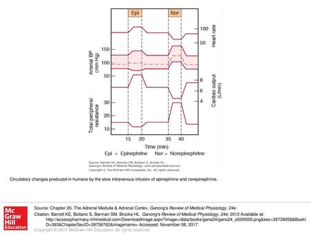 Circulatory changes produced in humans by the slow intravenous infusion of epinephrine and norepinephrine. Source: Chapter 20. The Adrenal Medulla & Adrenal.