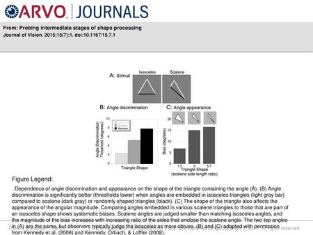 Figure Legend: From: Probing intermediate stages of shape processing