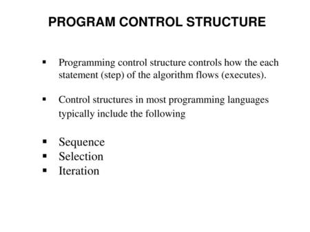 PROGRAM CONTROL STRUCTURE