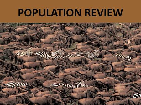 POPULATION REVIEW.