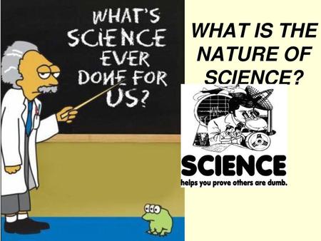 WHAT IS THE NATURE OF SCIENCE?