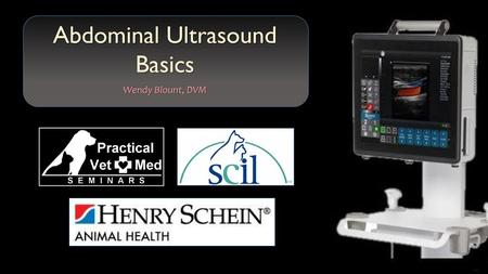 Abdominal Ultrasound Basics Wendy Blount, DVM